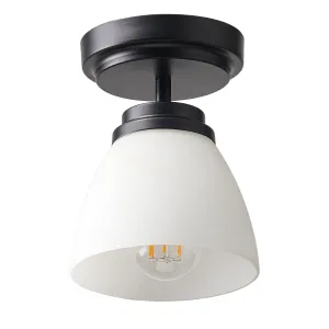 1-Light Opal Glass Semi-Flush Mount Lighting