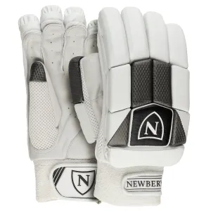 2021 N-Series Batting Gloves