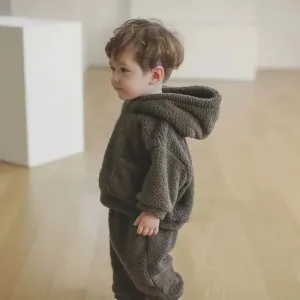 2Pcs Warm Thick Plush Fleece Hooded Sweatshirt and Pants Outfits