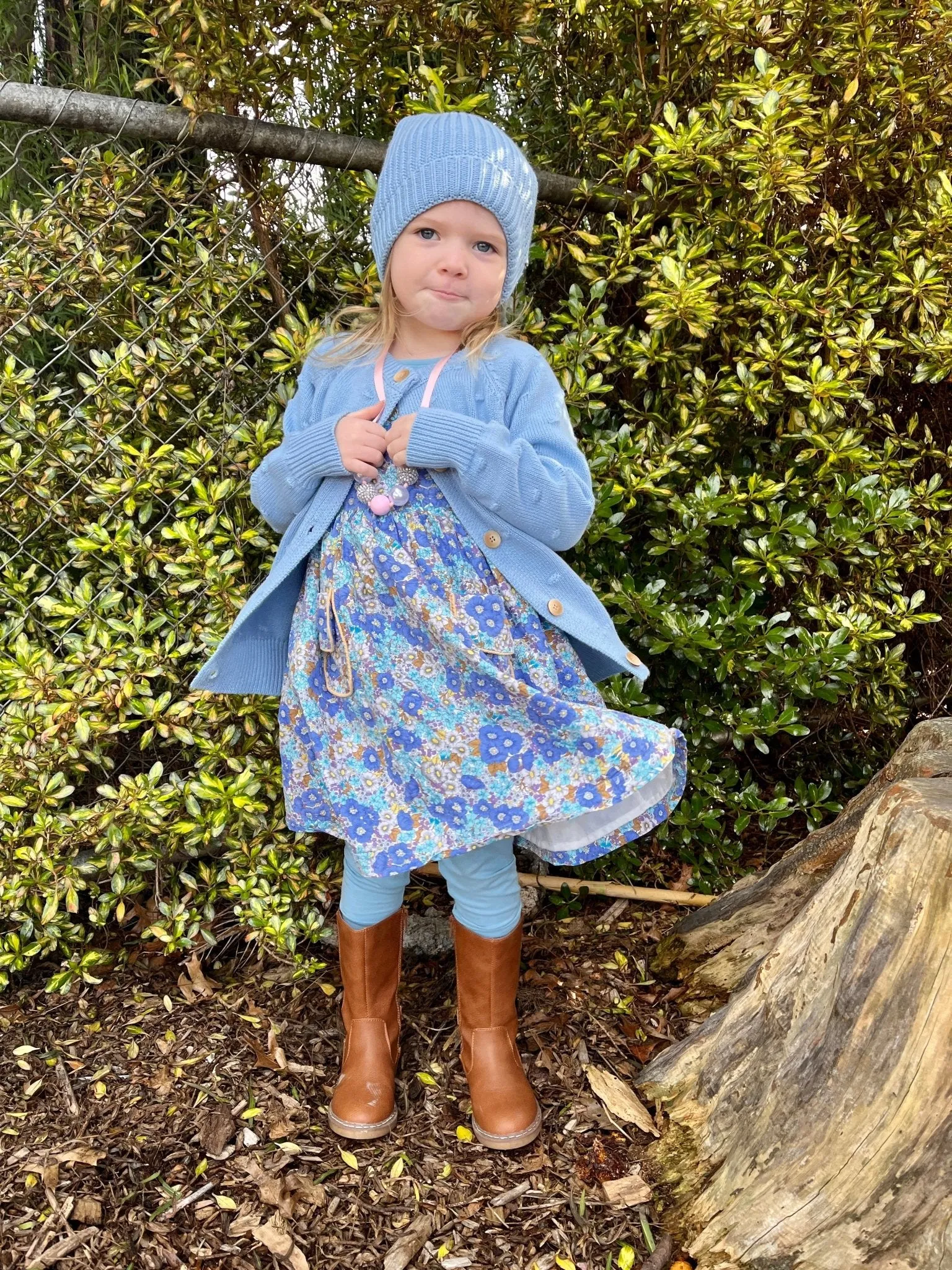ADELAIDE BUTTON DRESS