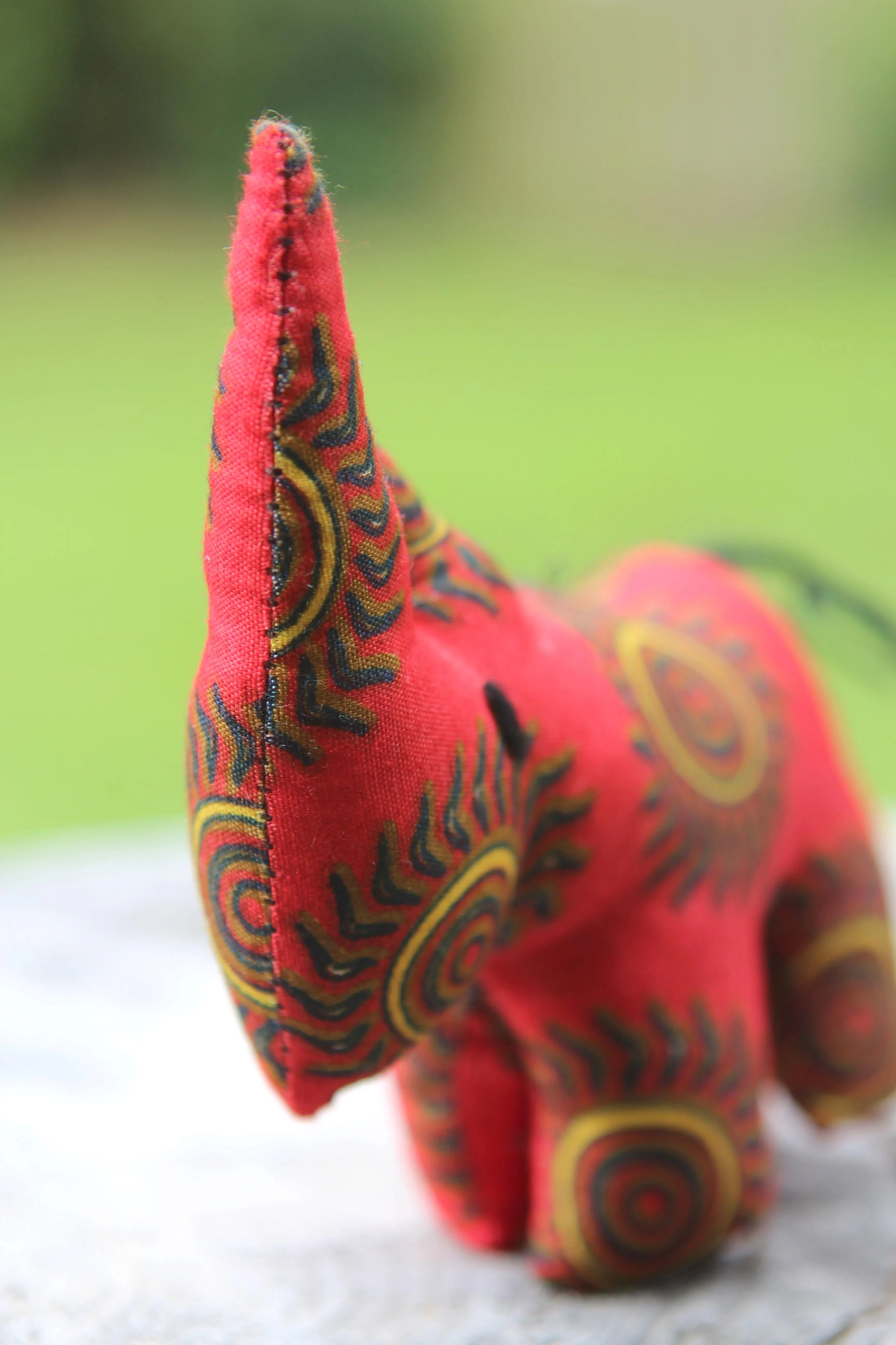 African Animal - Red Rhino