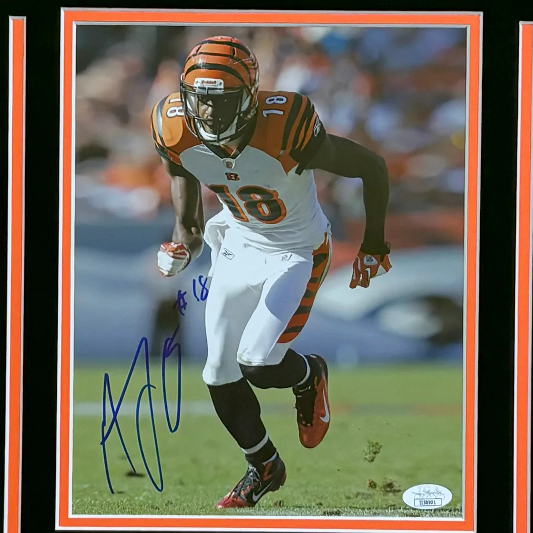 AJ Green Hand Signed & Framed 8x10 Photo (JSA)