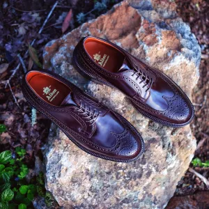 Alden Long Wing Blucher