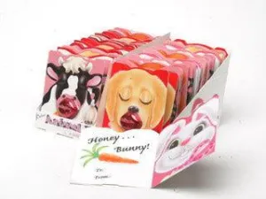 Animal Expressions Valentine's Greeting Card