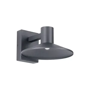 Ash 10 In. LED Hi-Output Outdoor Wall Sconce 675 Lumens 2700K Gray Finish Clear Lens