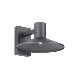Ash 12 In. LED Lo-Output Outdoor Wall Sconce 400 Lumens 2700K Gray Finish Clear Cylinder