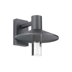 Ash 12 In. LED Lo-Output Outdoor Wall Sconce 619 Lumens 2700K Gray Finish Clear Cylinder