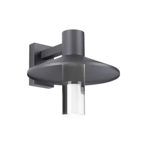 Ash 16 In. LED Lo-Output Outdoor Wall Sconce 591 Lumens 3000K Surge Protection Gray Finish Clear Cylinder