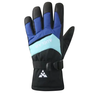 Snowboarding Gloves