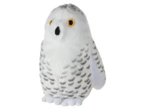 Audubon Snowy Owl