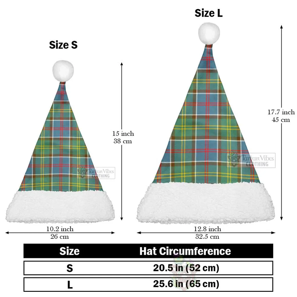 Ayrshire District Tartan Christmas Santa Hats