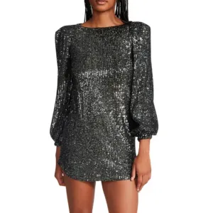 BB Dakota Delorean Dress