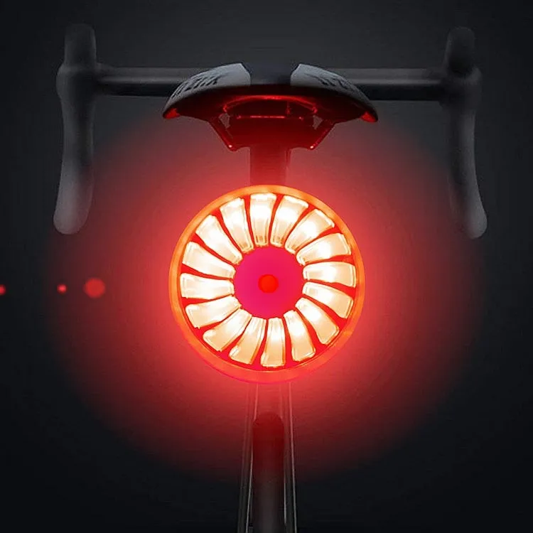Bicycle Smart Sensor Brake Light USB Tail Light Warning Light(Silver)