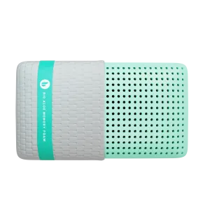 Blu Sleep Bio Aloe Vera Pillow | Cool, Cozy & Antibacterial