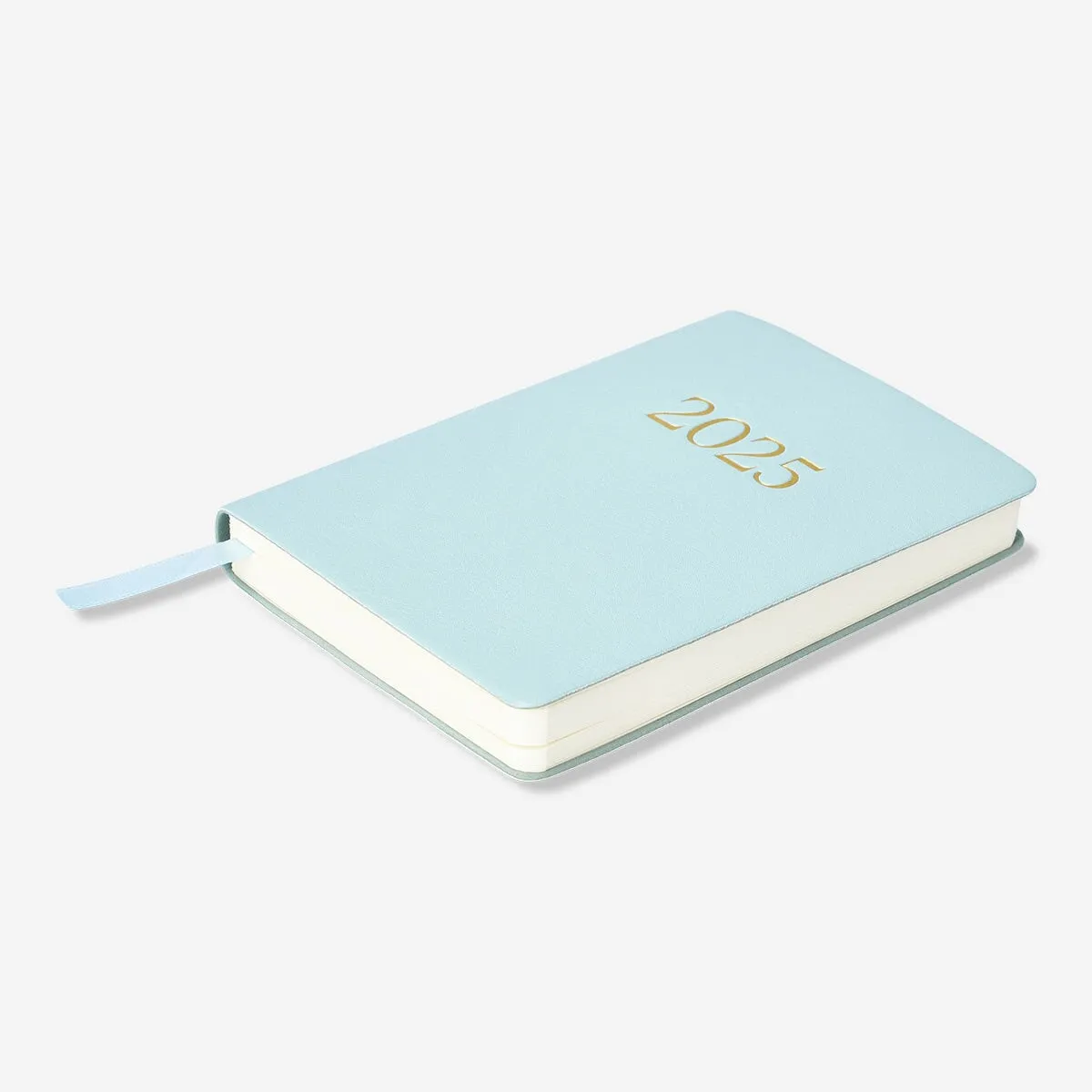 Blue Daily Diary A6 - English