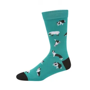Border Collie Men's Bamboo Crew Socks