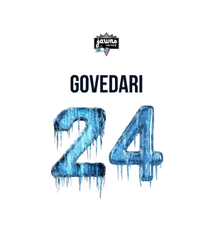 Boys 4th & 5th - Team PA Winter Series Player Shirt or Hoodie - Govedari