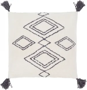 Braith Pillow Cover