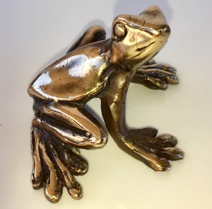 Bronze Shiny Frog