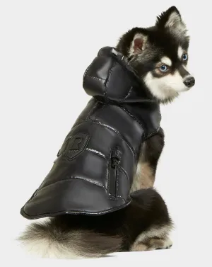 BUDDIE - 9122520 BLACK