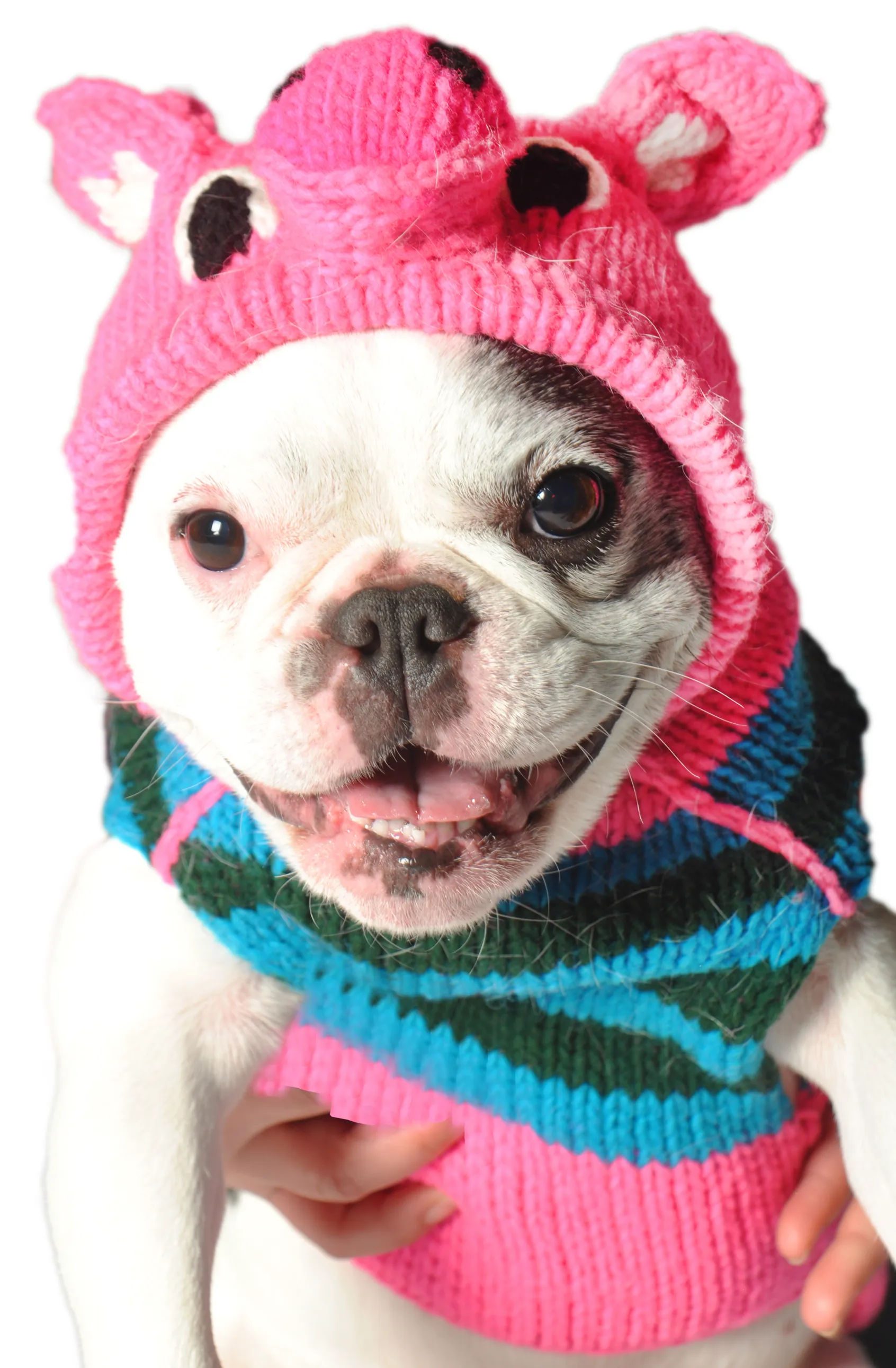 Characters - Pink Piggy Hoodie Dog Sweater