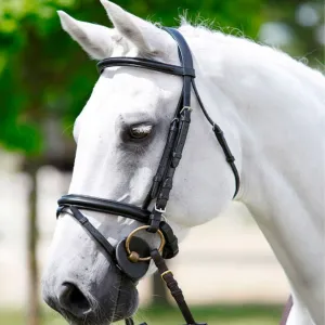 COMPLETE LEATHER BRIDLE WITH PADDED COVER