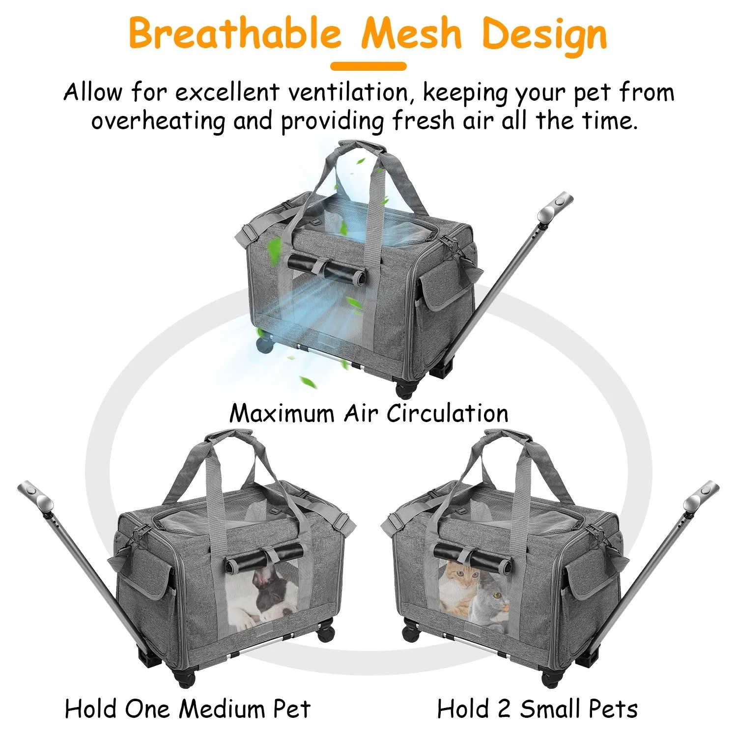 Convertible Rolling Dog Carrier with Handle
