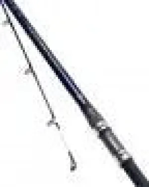 Daiwa Saltist Bass 9ft cast 35g