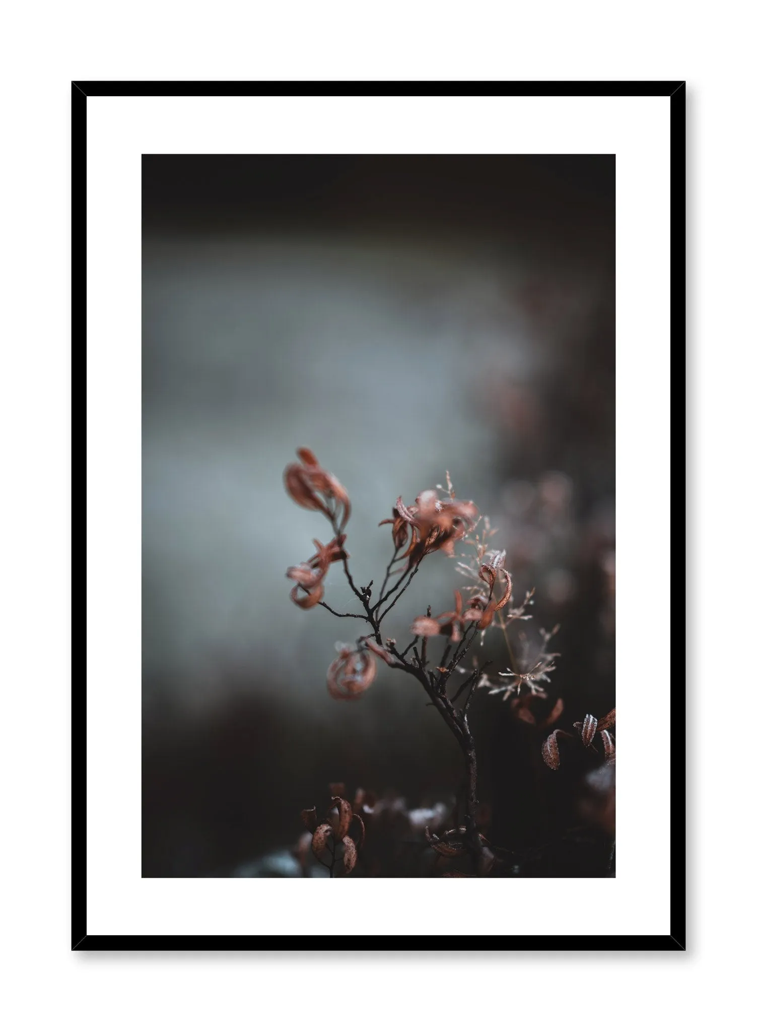 Delicate Flower, Poster