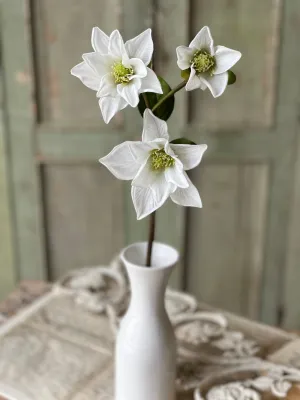 Devotion Magnolia | 26" | White | NOT CURRENTLY IN STOCK-New For Spring 2025!