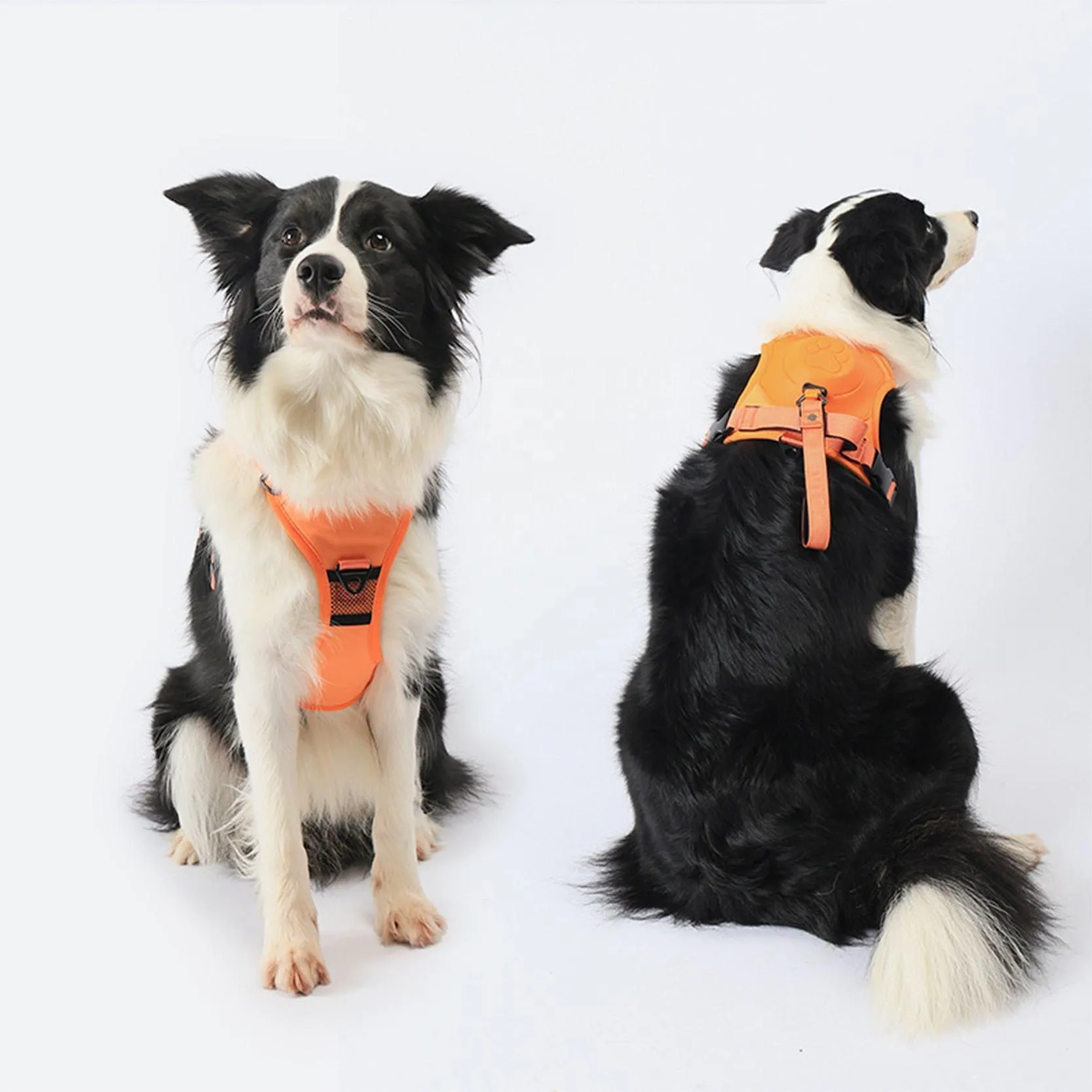 Dog Harness and Retractable Leash Set All-in-One