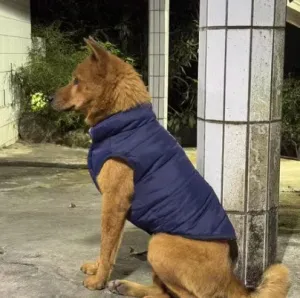 Dog Vest-2 colors large/small dog sizes available