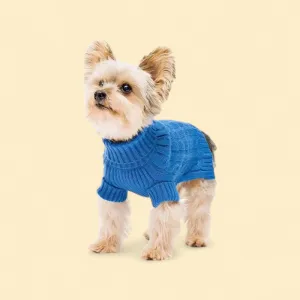 Dog Winter Clothes