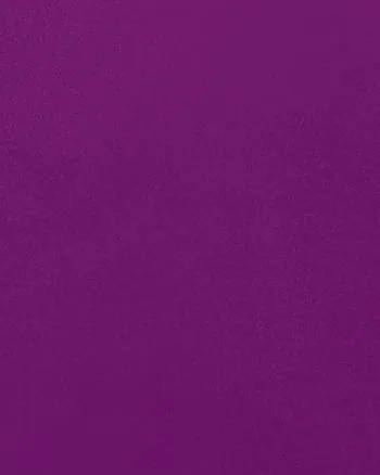 Draped Sleeve Dress | Purple