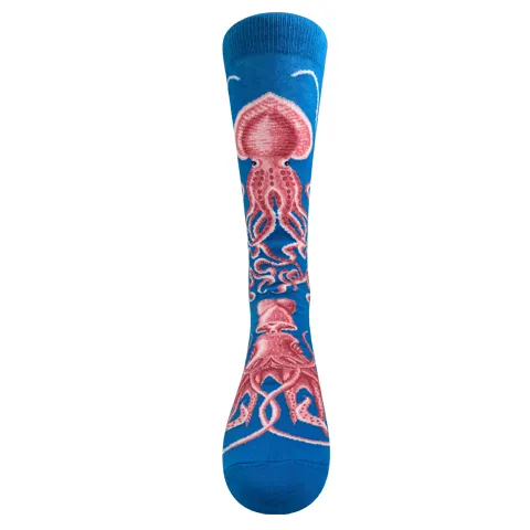Ernst Haeckel Series - Haeckel Gamochonia