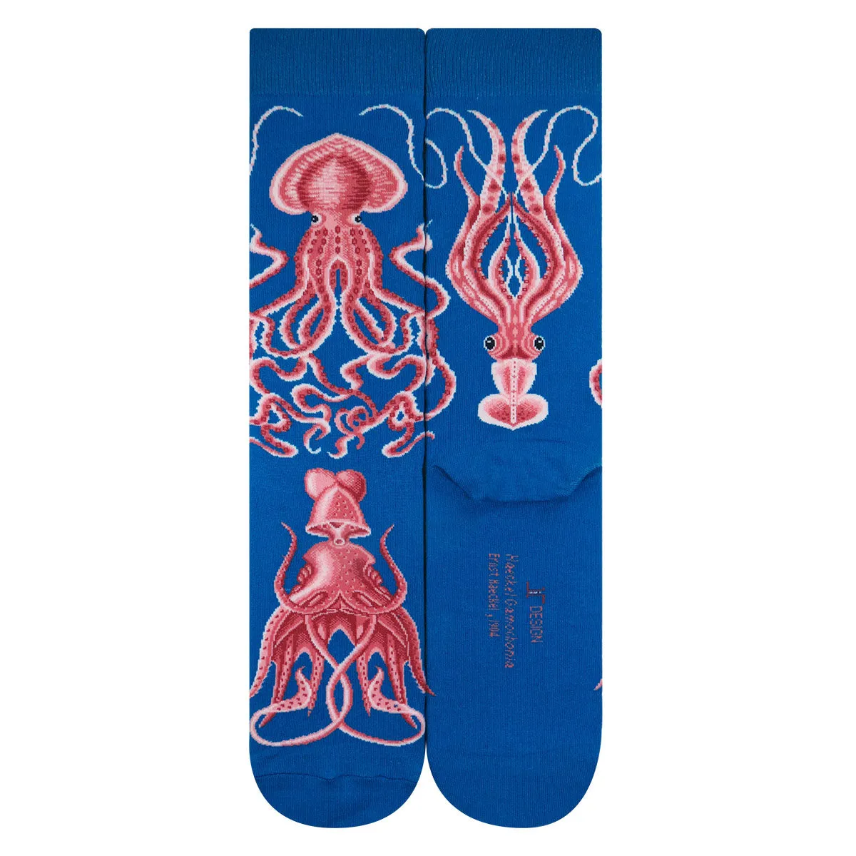 Ernst Haeckel Series - Haeckel Gamochonia