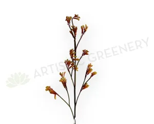F0434 Kangaroo Paw Spray 100cm Orange