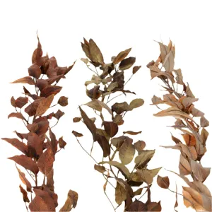 Fall Eucalyptus Leaf Garland