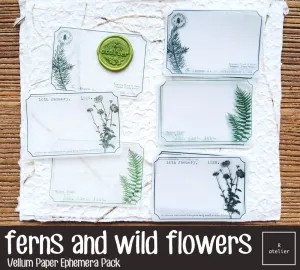 Ferns & Wild Flowers | Vellum Paper