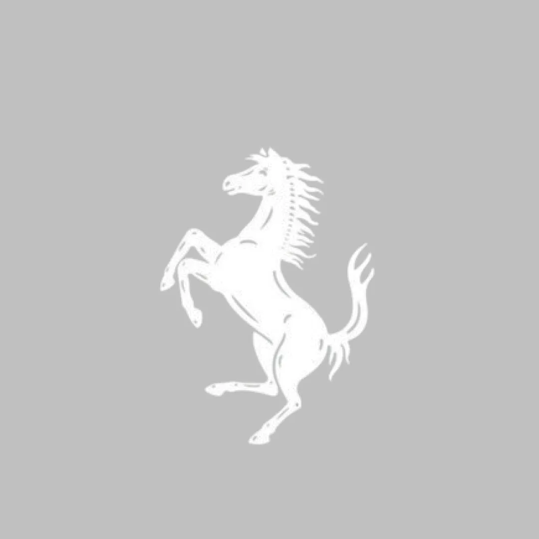 Ferrari Roma Car Cover