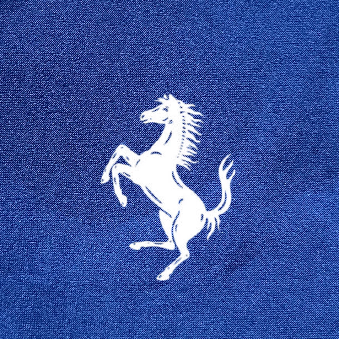 Ferrari Roma Car Cover