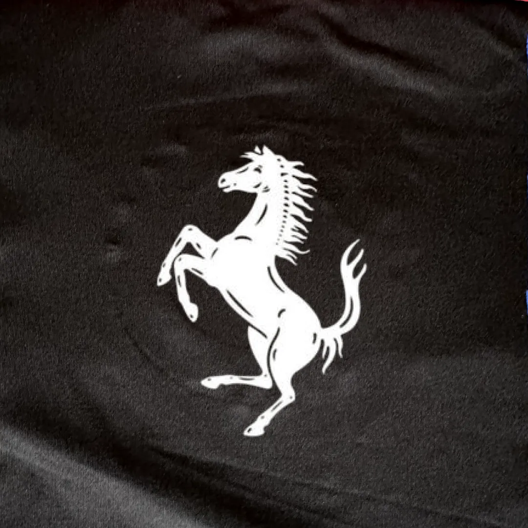 Ferrari Roma Car Cover