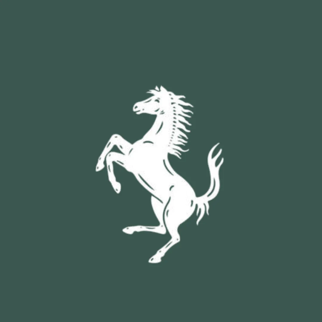 Ferrari Roma Car Cover