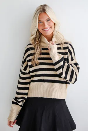 FINAL SALE - Cuddly Approach Striped Turtleneck Sweater