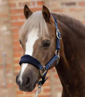 Fleece Padded Pony Head Collar Navy