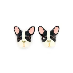 French Bulldog Studs