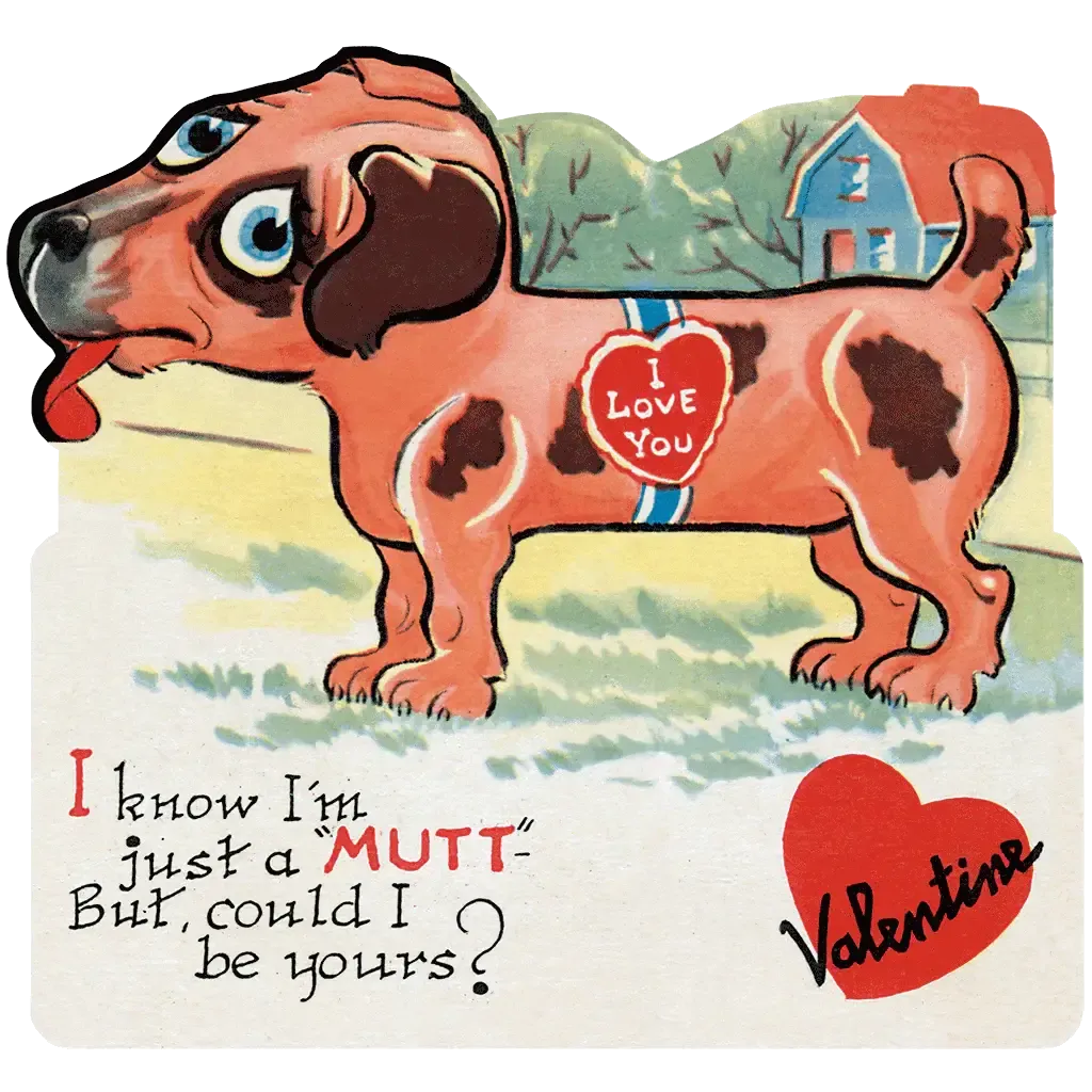 Funny Valentines - Valentines Packet