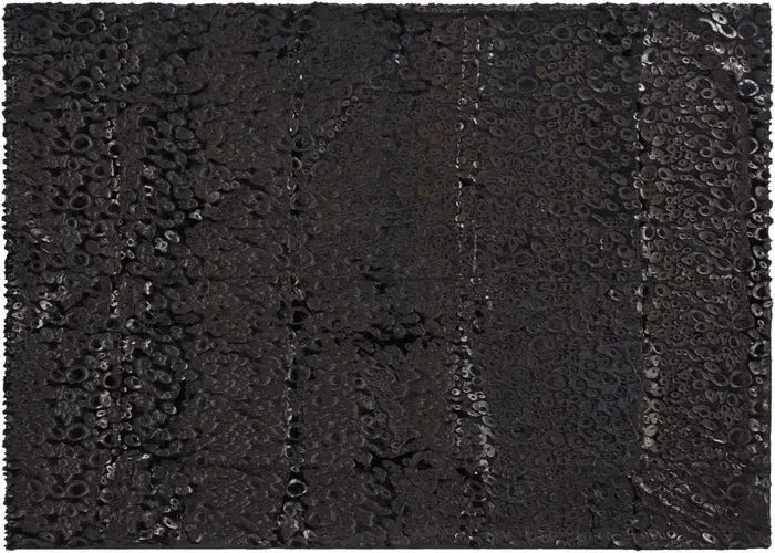 Fur N9510 Black Throw Blanket
