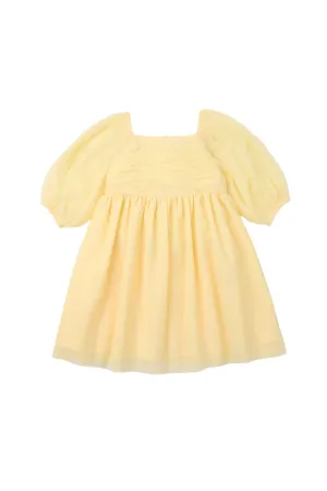 Gingersnaps Puff Tulle Empire Cut Dress