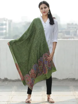 Green Black Paisly Weaved Border Silk Wool Kashmiri Stole - S200568